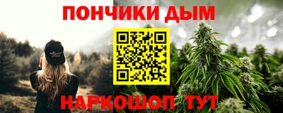 трава Сланцы